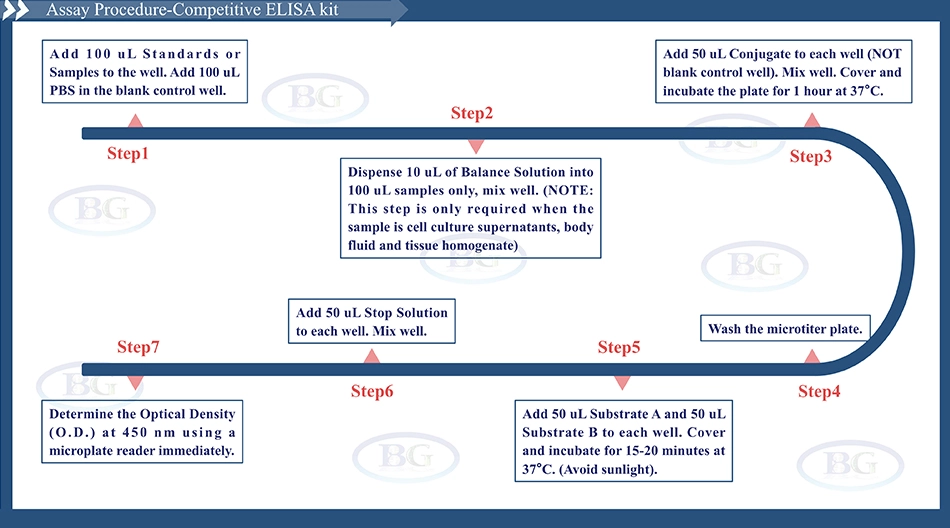 Summary of the Assay Procedure for Rabbit Hepatocyte Growth Factor ELISA kit