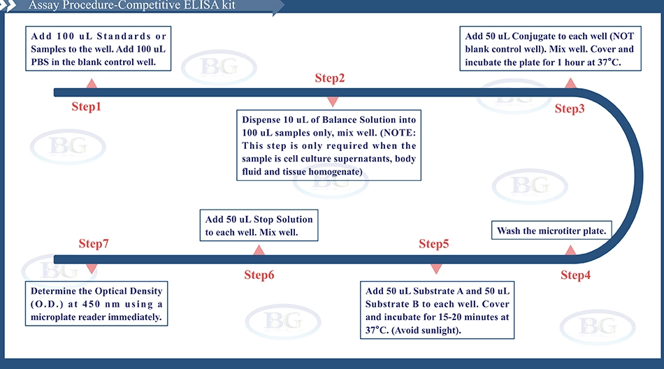 Summary of the Assay Procedure for Canine Aquaporin 4 ELISA kit