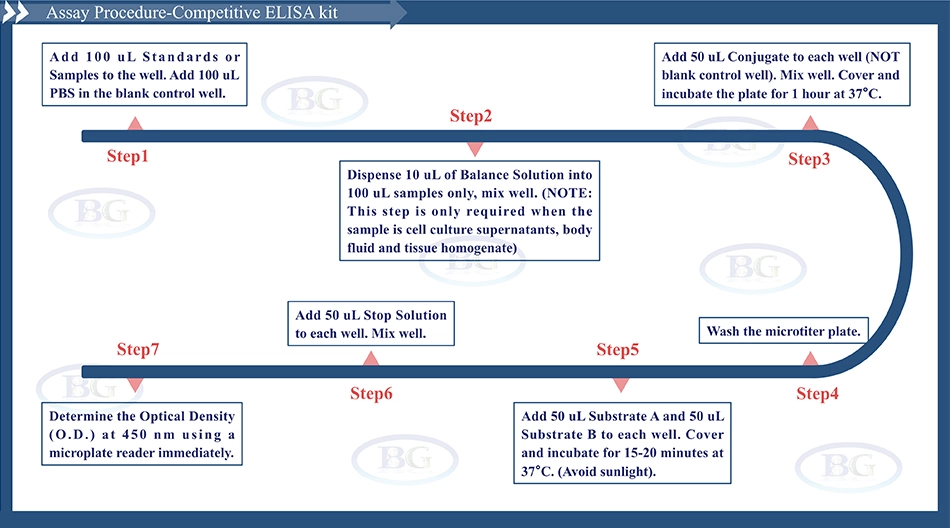 Summary of the Assay Procedure for Canine Apoprotein B100 ELISA kit