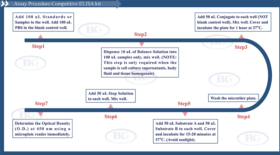 Summary of the Assay Procedure for Human Pigment Epithelium Derived Factor ELISA kit