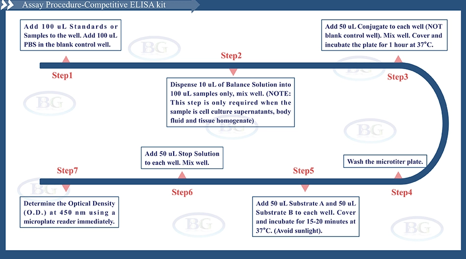 Summary of the Assay Procedure for Bovine Total Adiponectin ELISA kit