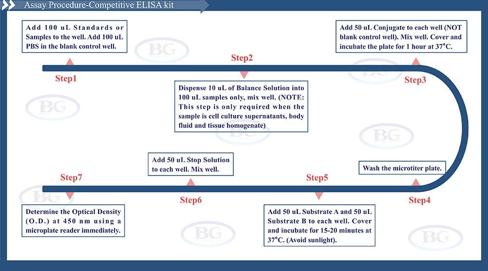 Summary of the Assay Procedure for Chicken Nuclear factor kB ELISA kit