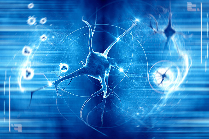 Cell Signal Transduction