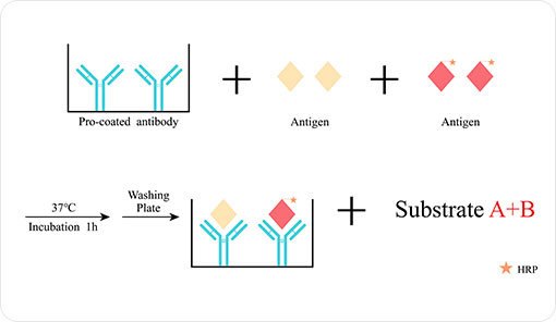 BlueGene Biotech: One-Step Competitive ELISA kit