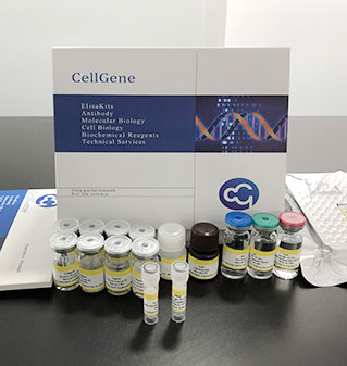 BlueGene Biotech Product Packing