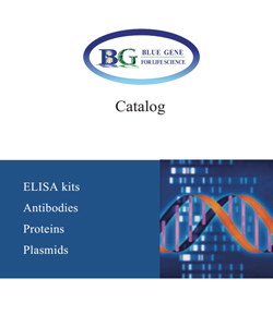 BlueGene Catalogue