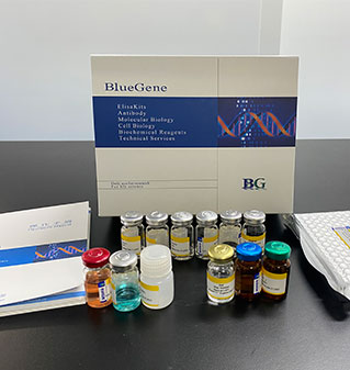 human elisa kits