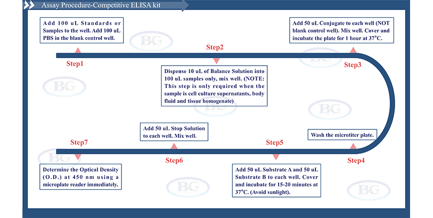 Summary Of The Assay Procedures For E11A0028 Bovine ALB ELISA Kit Summary Of The Assay Procedures For E11A0028 Bovine ALB ELISA Kit