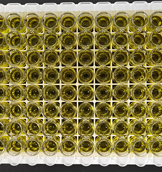 kynurenine elisa kit