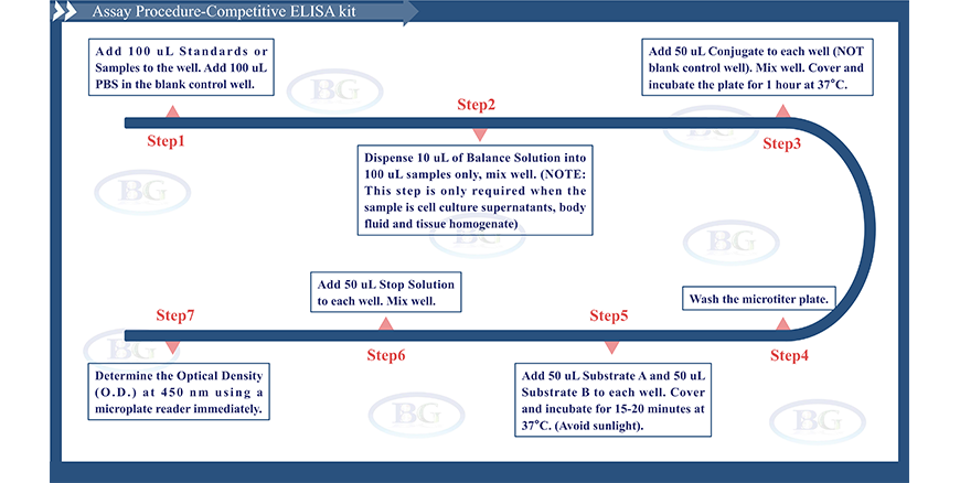 Summary Of The Assay Procedures For E11C0376 Bovine CCK ELISA Kit