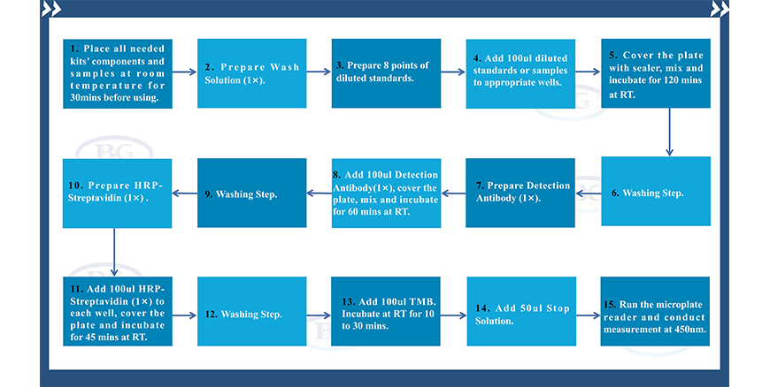 Summary Of The Assay Procedures For NE01C0064 Human CCL18/PARC ELISA Kit Summary Of The Assay Procedures For NE01C0064 Human CCL18/PARC ELISA Kit