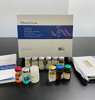 klotho elisa kit