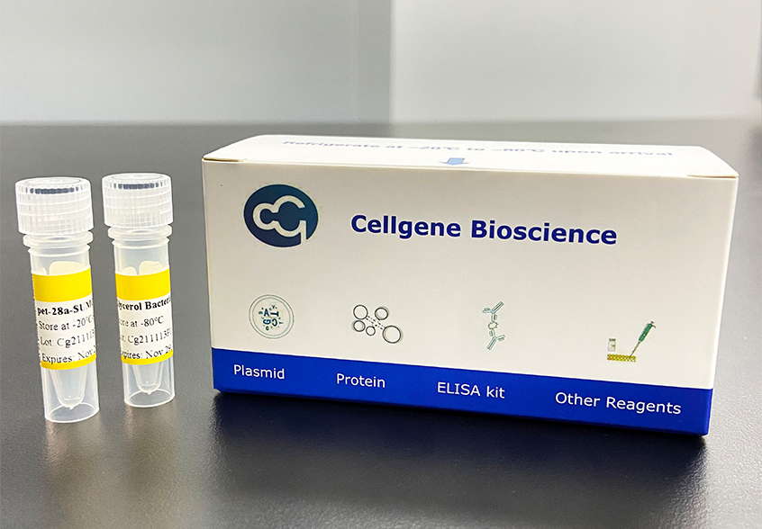 quantikine elisa kit