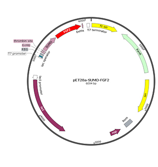 s100b elisa kit