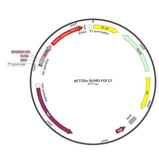 salmonella elisa kit