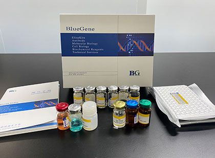 BG ELISA Kits/ BlueGene Biotech