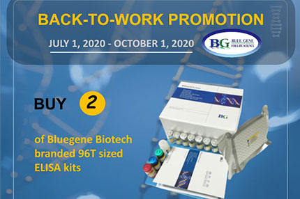 BACK-TO-WORK PROMOTION