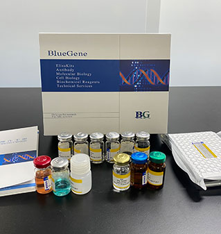 testosterone elisa kit