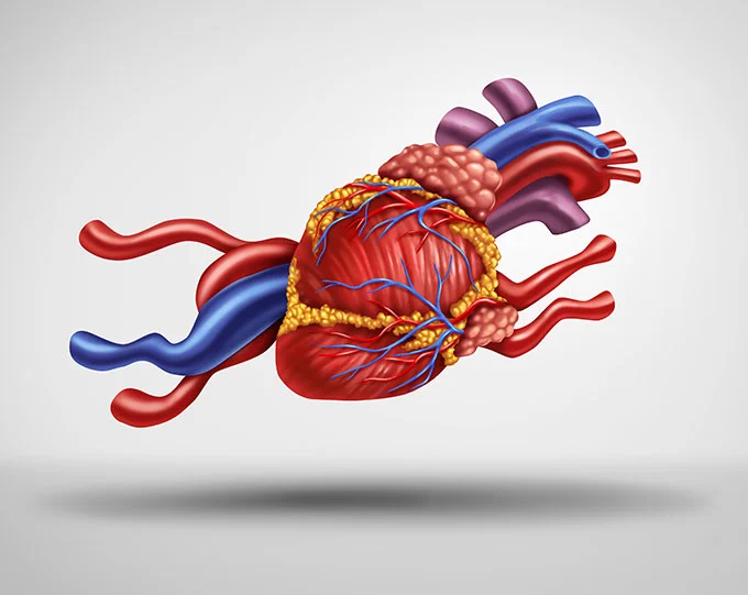 BlueGene Biotech's Research For Cardiovascular
