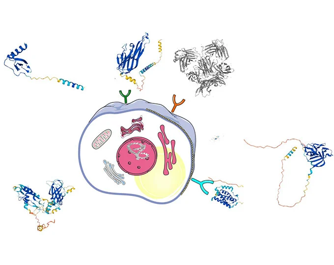 BlueGene Biotech Research Areas