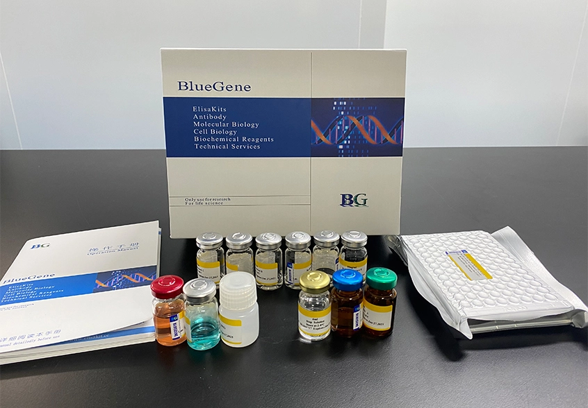 bovine serum albumin elisa