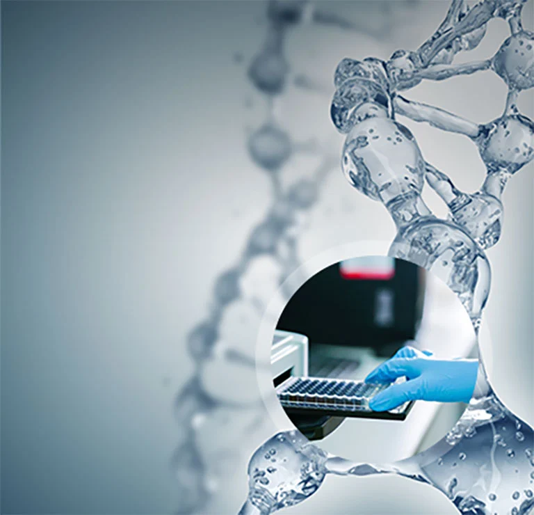 BlueGene Biotech: Your Experienced ELISA Kits Expert