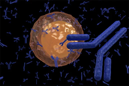 Antibodies Production