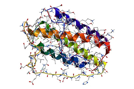 BlueGene Biotech Service On Protein Expression