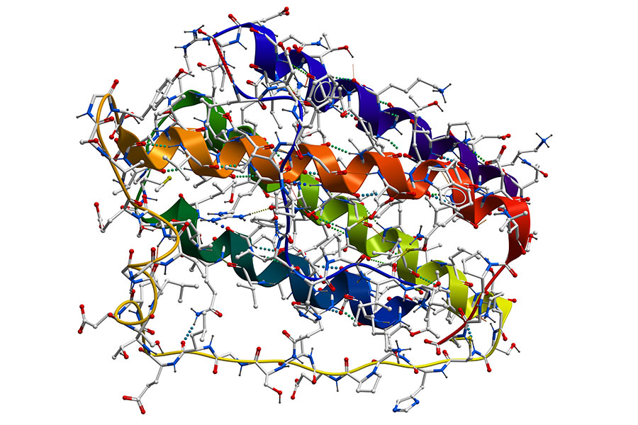 Protein Expression