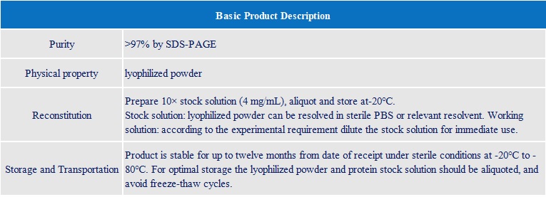 Product Launch Of 12 Recombinant Proteins