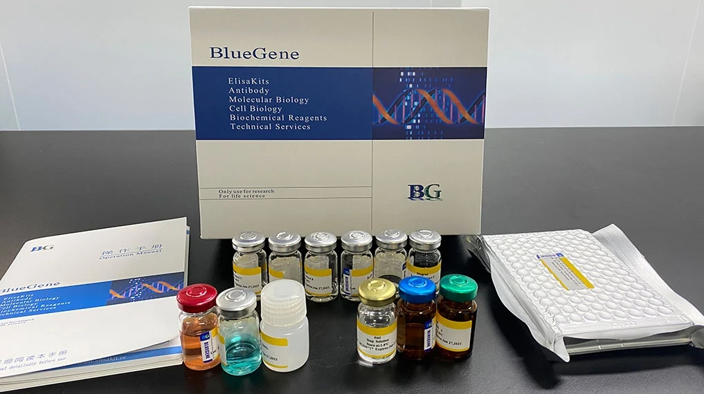 Using Our BlueGene Biotech ELISA Kits Using Our BlueGene Biotech ELISA Kits