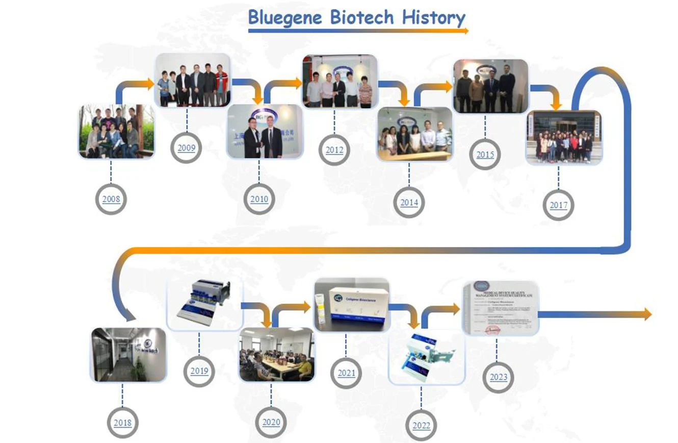 Company History Company History