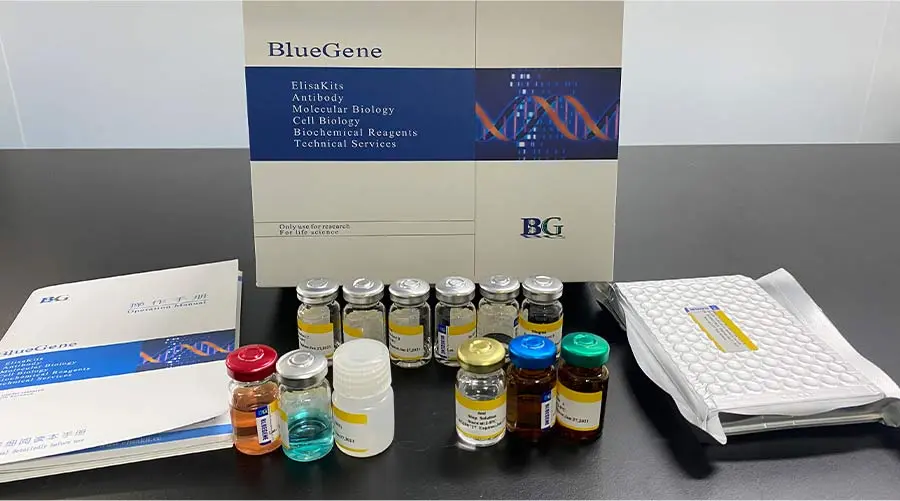 ELISA Kits