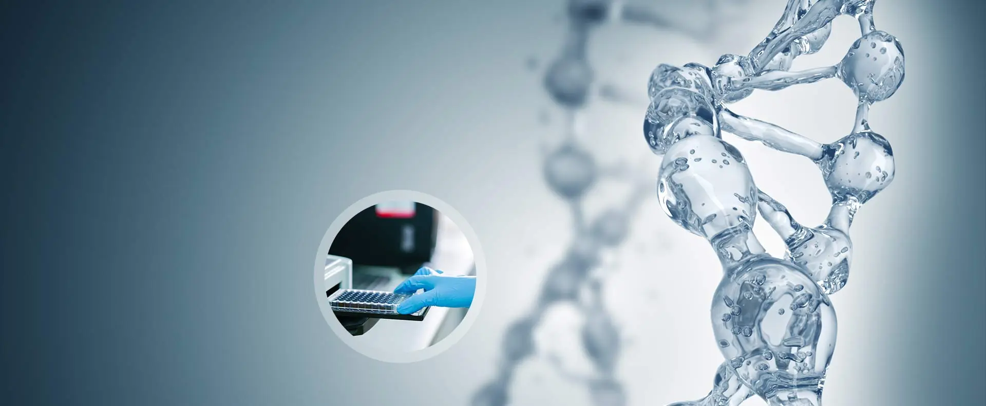 BlueGene Biotech: Your Ideal Partner in Biology Research