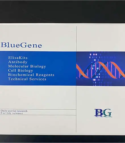 Host Cell Protein Detection Kits