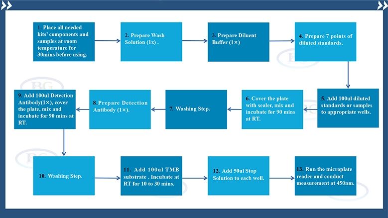 Summary Of The Assay Procedures For CH-K0018-1 CHO Host Cell Protein ELISA Kit, 1G Summary Of The Assay Procedures For CH-K0018-1 CHO Host Cell Protein ELISA Kit, 1G