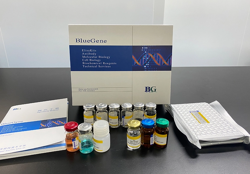 human ages elisa kit