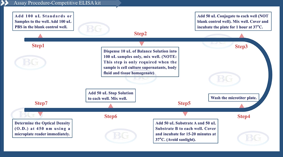 Summary of the Assay Procedure for Bovine Decorin ELISA kit