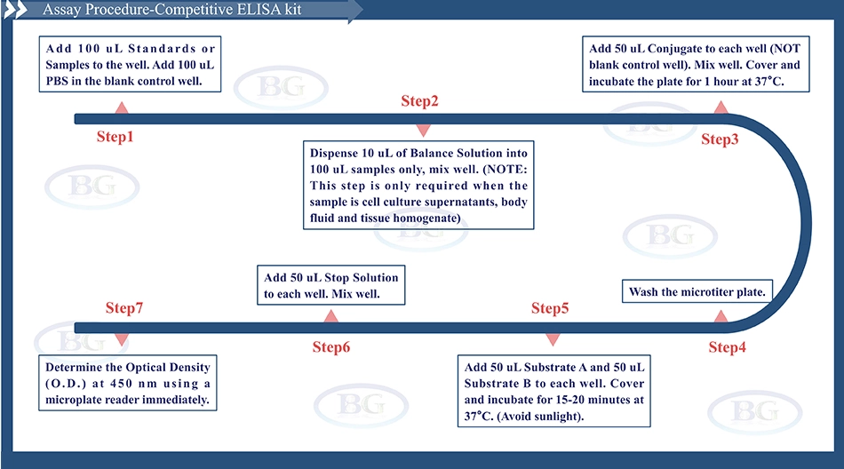 Summary of the Assay Procedure for Human Epinephrine/Adrenaline ELISA kit