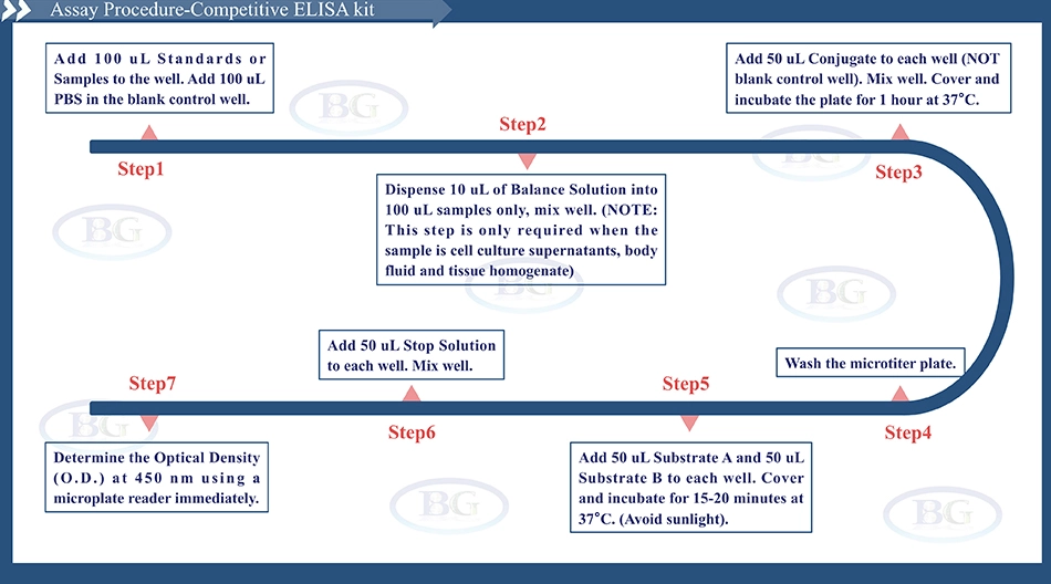 Summary of the Assay Procedure for Human Active Caspase 3 ELISA kit