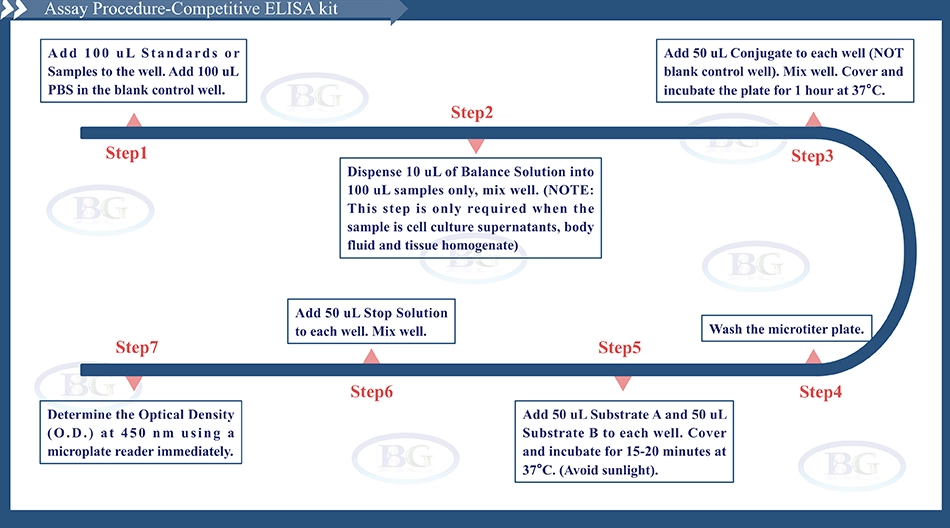 Summary of the Assay Procedure for Human Adrenomedullin ELISA kit