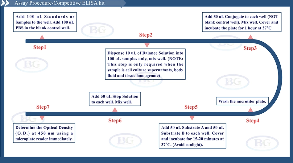 Summary of the Assay Procedure for Mouse Androgen ELISA kit