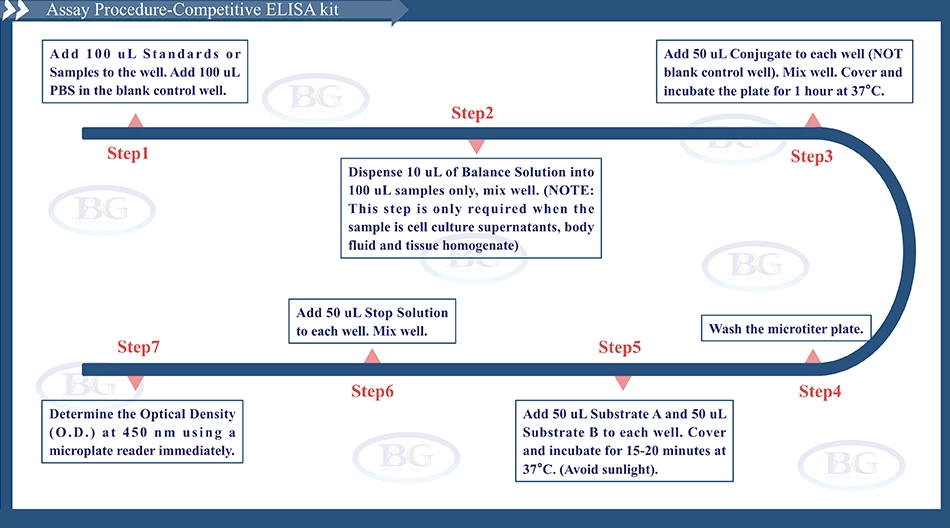 Summary of the Assay Procedure for Mouse Alkaline Phosphatase ELISA kit
