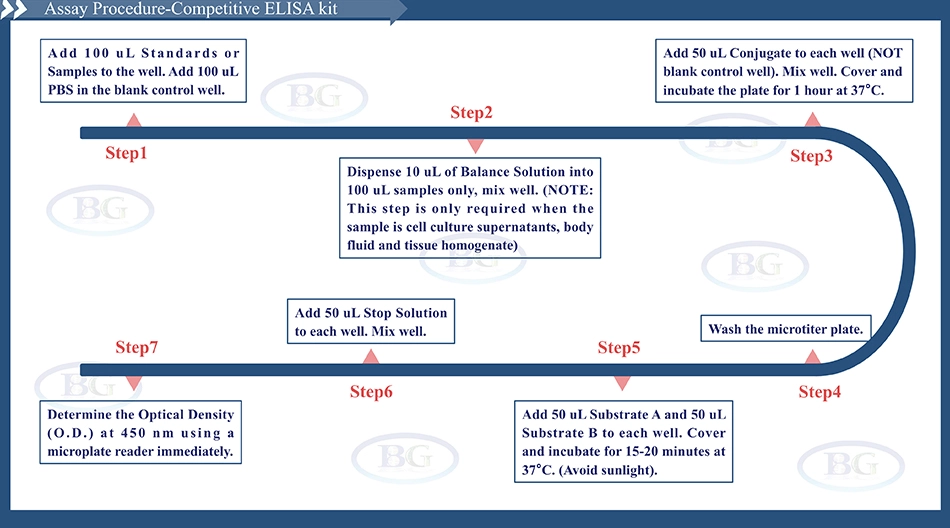 Summary of the Assay Procedure for Mouse Angiotensin 1 ELISA kit