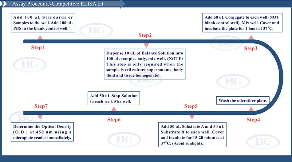 Summary of the Assay Procedure for Mouse Mullerian Inhibiting Substance/Anti Mullerian Hormone ELISA kit