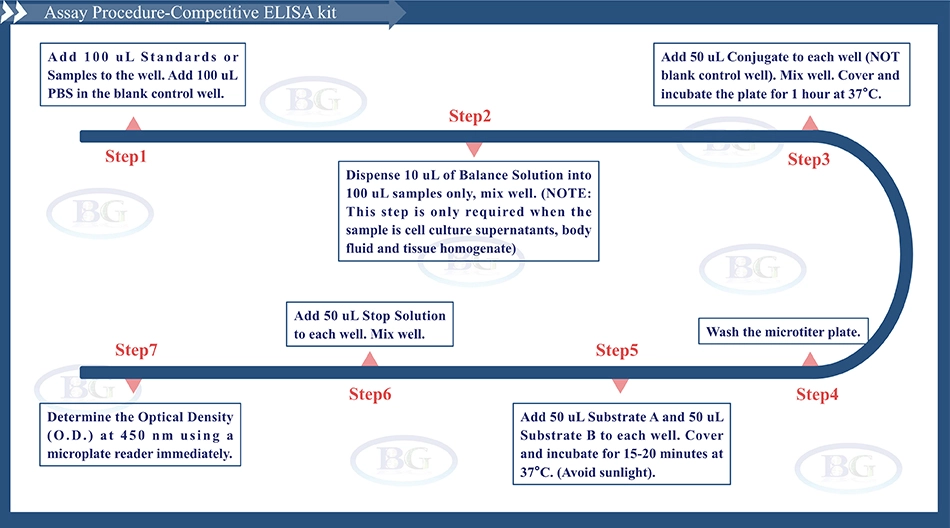 Summary of the Assay Procedure for Canine β Cell Leukemia/Lymphoma 2 ELISA kit