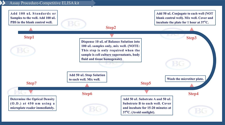 Summary of the Assay Procedure for Canine Caspase 9 ELISA kit