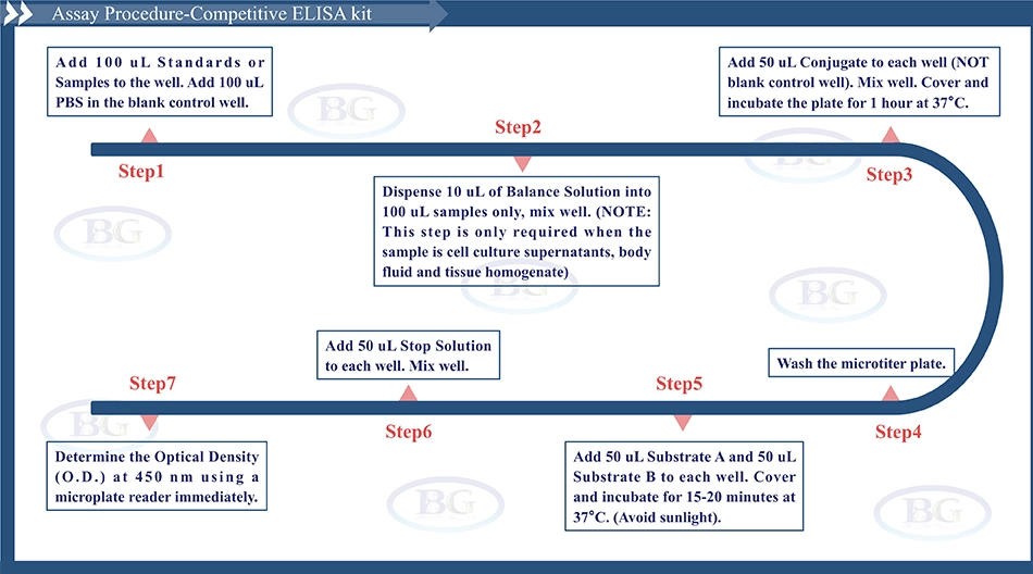 Summary of the Assay Procedure for Rat Anti Diuretic Hormone ELISA kit