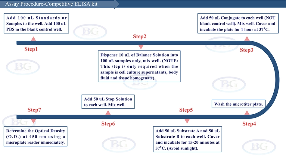 Summary of the Assay Procedure for Bovine Adenosine Monophosphate Activated Protein ELISA kit_copy66