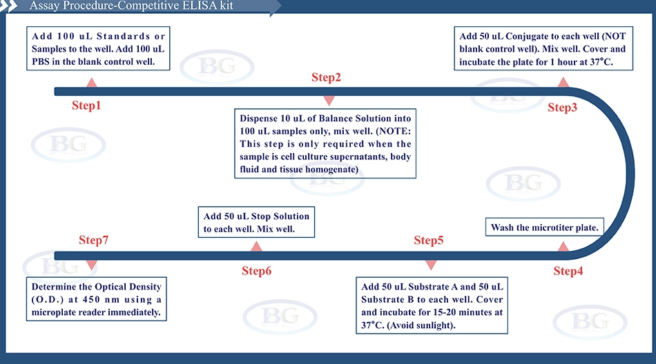 Summary of the Assay Procedure for Bovine Catalase ELISA kit